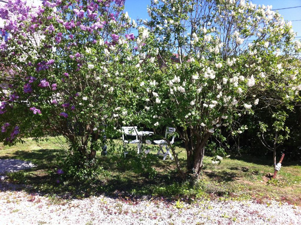 Les Lilas Roses Chamouilley Extérieur photo